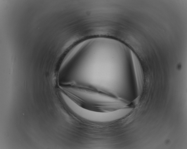 X0000094230160200711241753