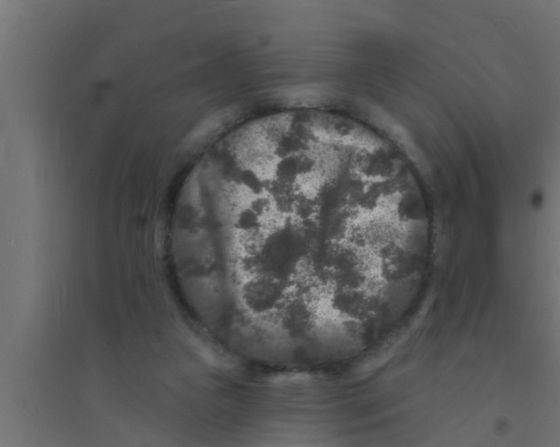X0000094230161200711241753
