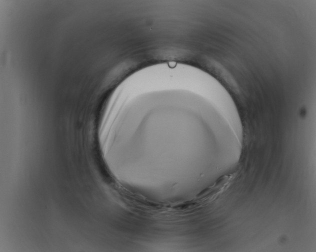 X0000094230163200711241753