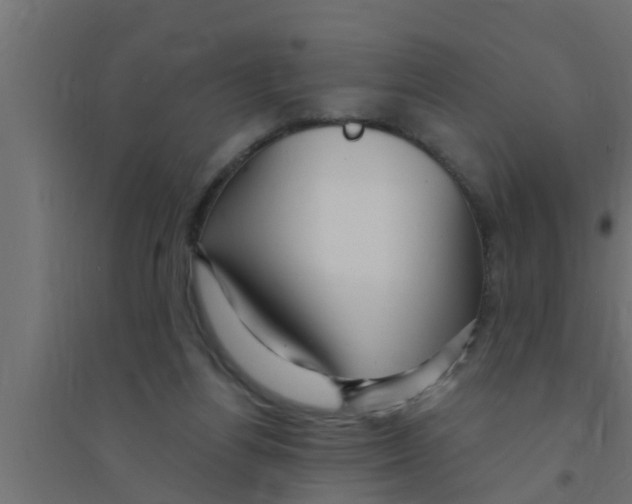 X0000094230164200711241753