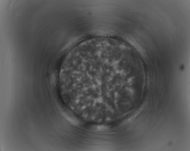 X0000094230165200711241753