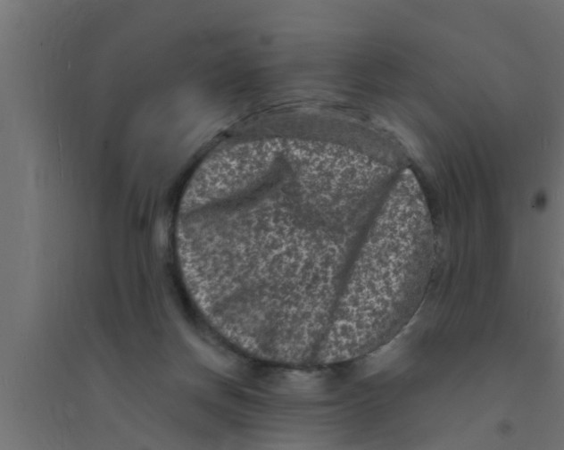 X0000094230166200711241753