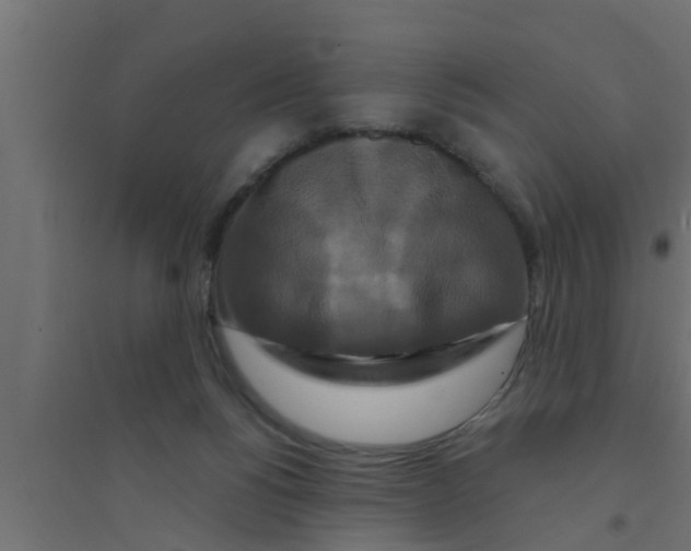 X0000094230168200711241753