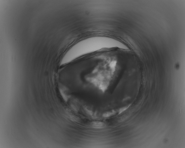 X0000094230169200711241753