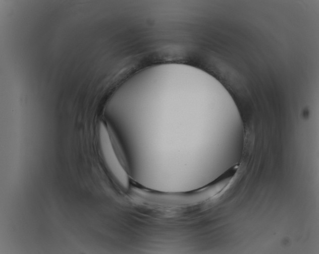 X0000094230170200711241753