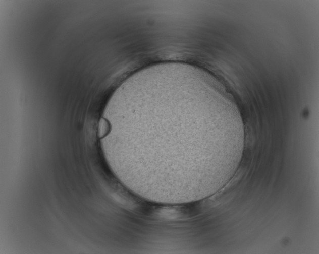 X0000094230171200711241753