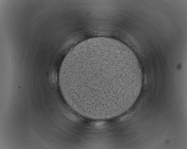 X0000094230173200711241753