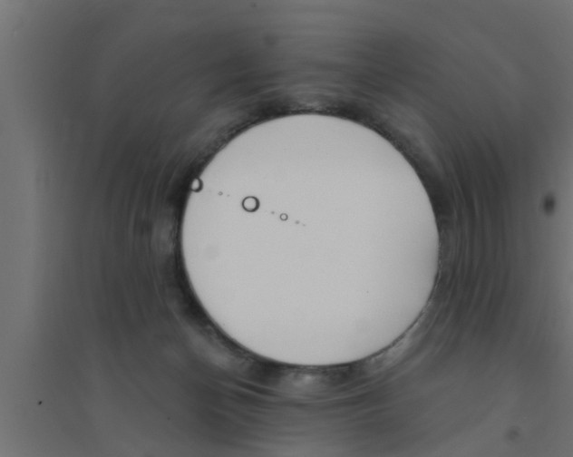 X0000094230174200711241753