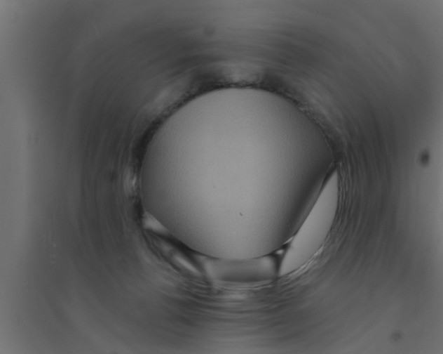 X0000094230176200711241753