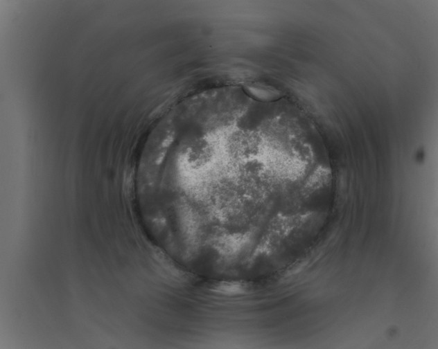 X0000094230177200711241753