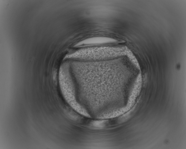 X0000094230178200711241753