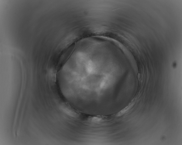 X0000094230180200711241753