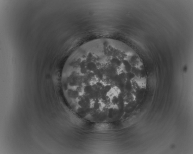 X0000094230181200711241753