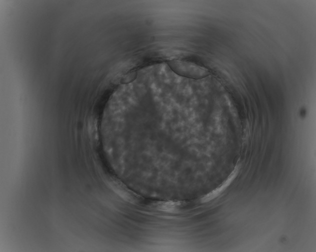 X0000094230182200711241753