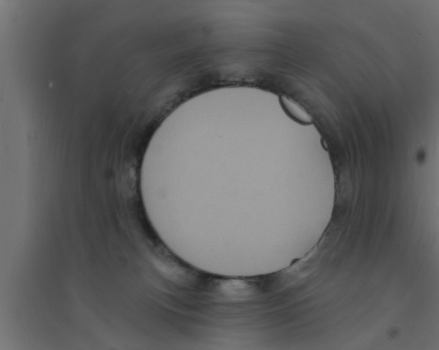 X0000094230183200711241753