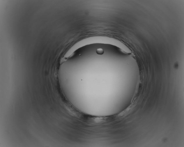 X0000094230184200711241753