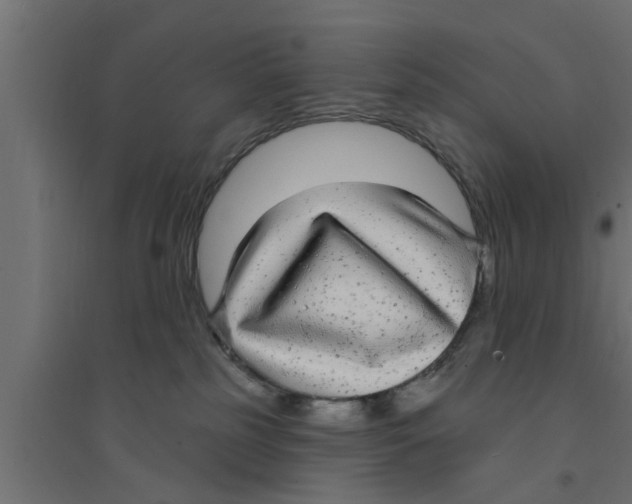 X0000094230185200711241753