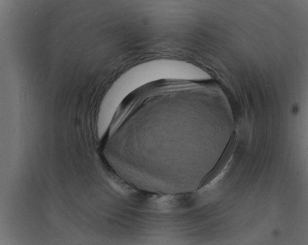 X0000094230186200711241753