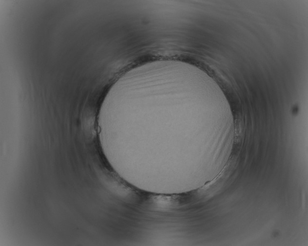 X0000094230187200711241753