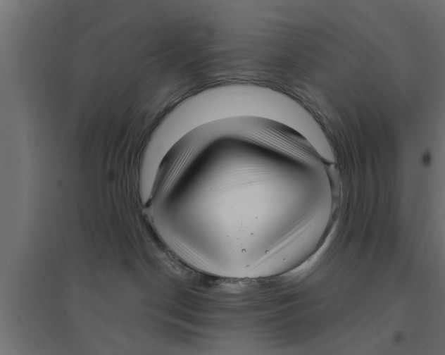 X0000094230190200711241753