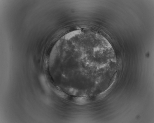 X0000094230191200711241753