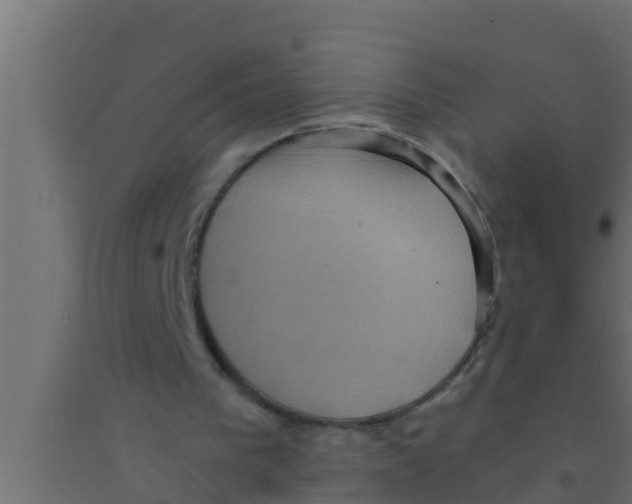 X0000094230193200711241752