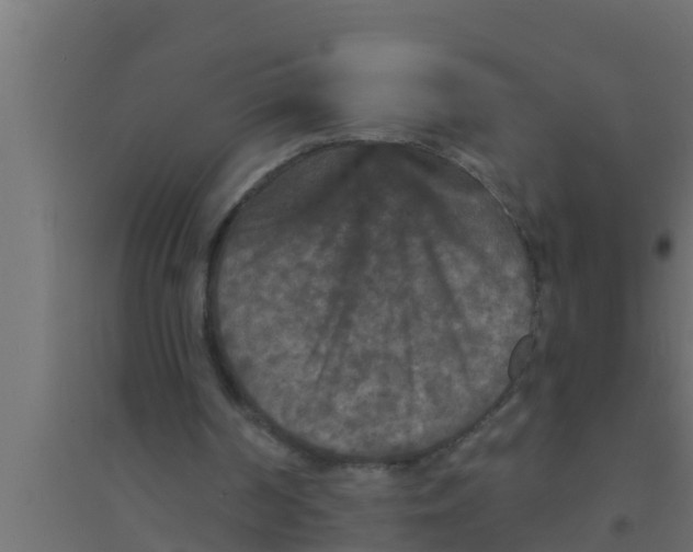 X0000094230194200711241752