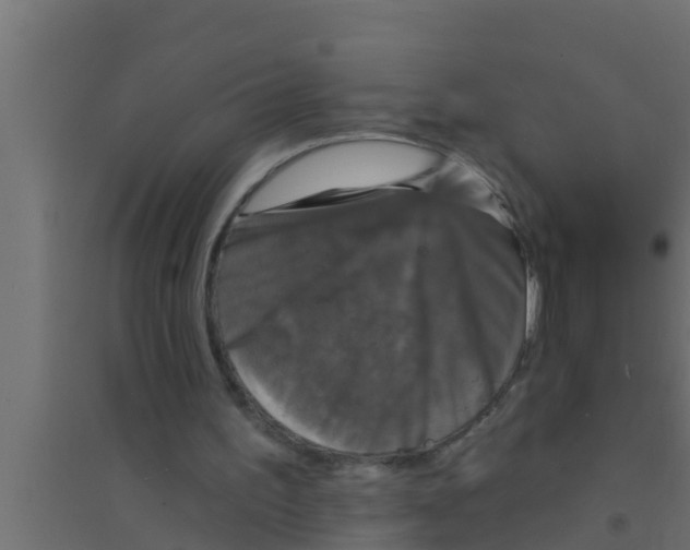 X0000094230195200711241752
