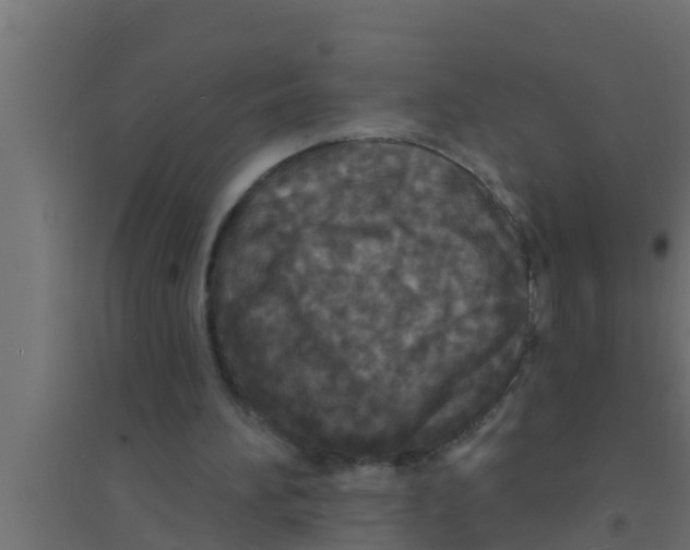 X0000094230196200711241752