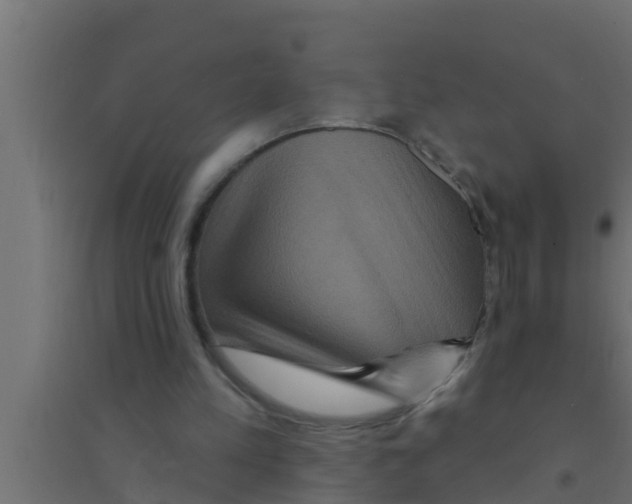 X0000094230197200711241752