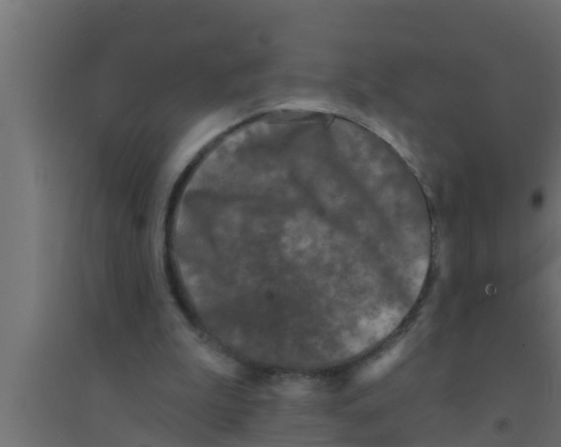 X0000094230199200711241752