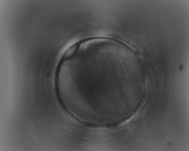 X0000094230200200711241752