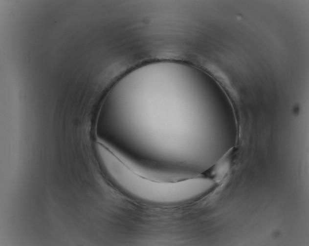 X0000094230201200711241752