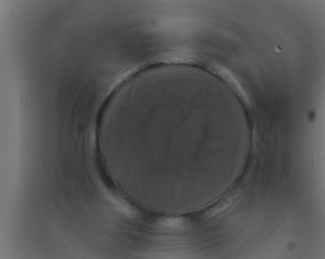 X0000094230202200711241752