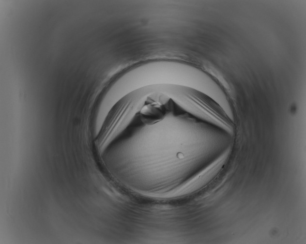 X0000094230203200711241752