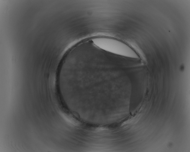 X0000094230204200711241752