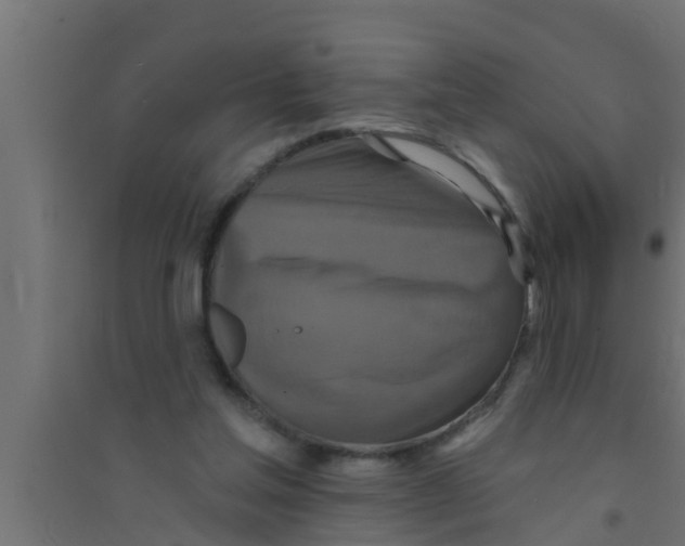 X0000094230205200711241752