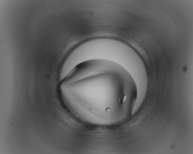 X0000094230207200711241752