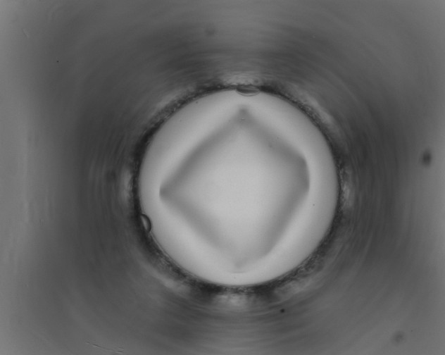 X0000094230211200711241752