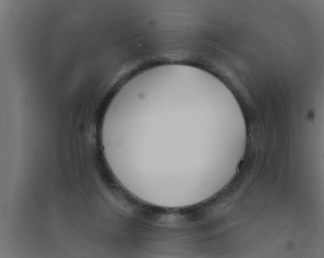 X0000094230212200711241752