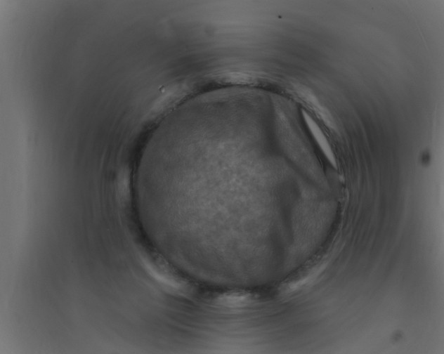 X0000094230213200711241752