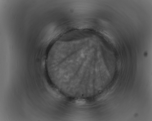 X0000094230214200711241752