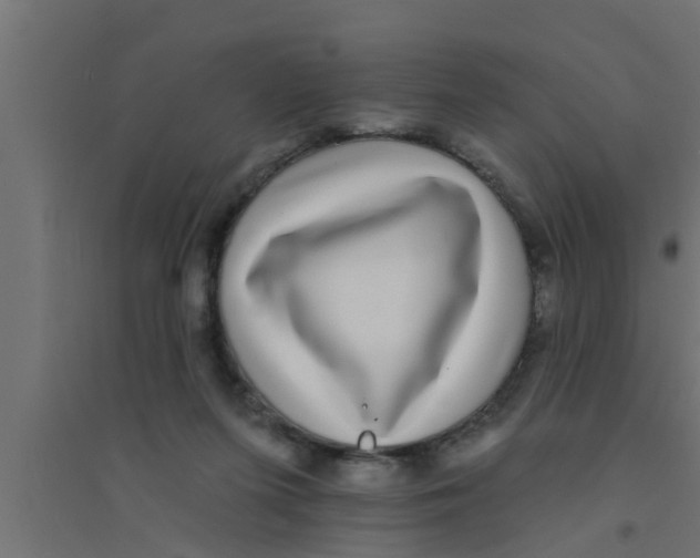 X0000094230215200711241752