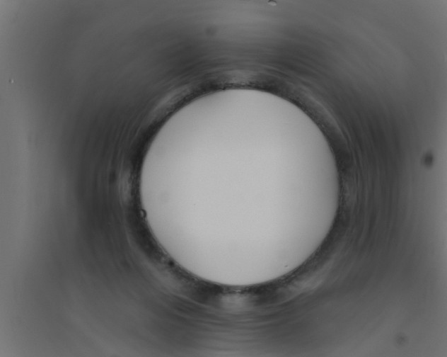X0000094230216200711241752