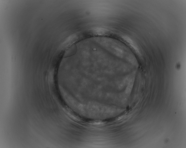 X0000094230217200711241752