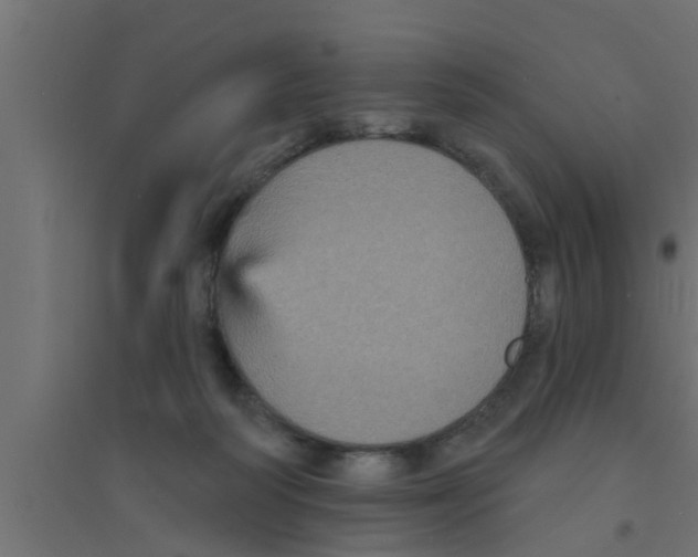 X0000094230218200711241752
