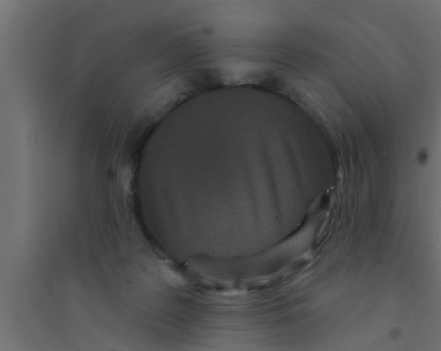 X0000094230219200711241752