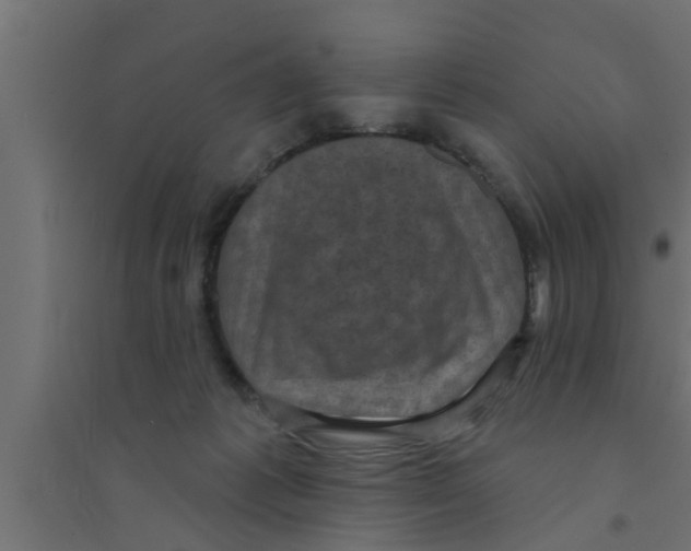 X0000094230221200711241752