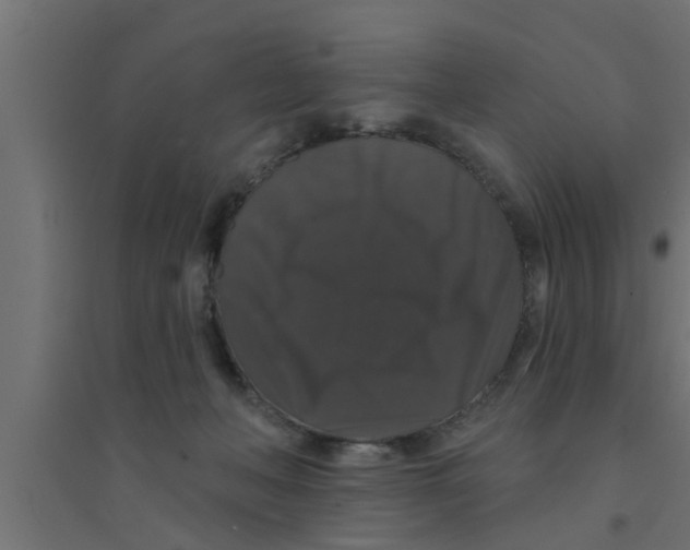 X0000094230222200711241752
