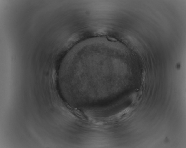 X0000094230223200711241752